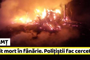 NEAMȚ: Poliţiştii fac cercetări în cazul bărbatului găsit mort în fânărie
