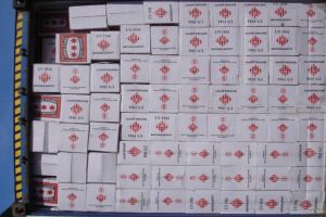 Constanta. Captura impresionanta la frontiera. Ce au gasit politistii de frontiera intr-un container sosit din Pakistan. A fost intocmit dosar penal(galerie foto) 