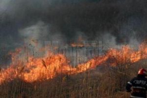 11 incendii de vegetaţie uscată în judeţ, în acest debut de săptămână