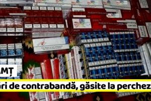 NEAMȚ: Ţigări de contrabandă, găsite după o percheziţie
