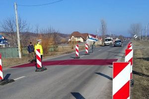 Al doilea focar de Pestă Porcină Africană în localitatea Oneşti