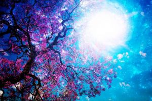 Echinocţiul de primăvară  şi ultima SuperLună din 2019.  Ce spun astrologii