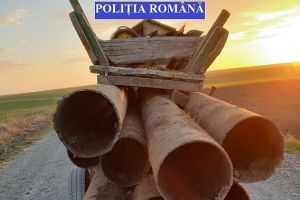 Cercetaţi pentru furt calificat