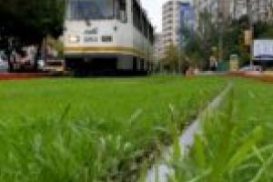 Liniile de tramvai de pe trei bulevarde din Timişoara vor fi reabilitate