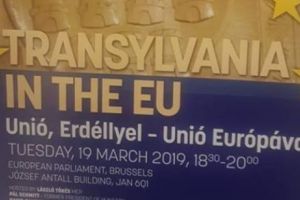 Sebastian Ghiţă: „Interesele prietenei lui Macovei sunt diferite de cele ale României. Este vorba despre interesele economice ale gaştilor din PPE”