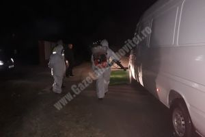 POIANA: S-au instituit filtre anti pestă. Transportul cărnii de porc este interzis în zona focarului