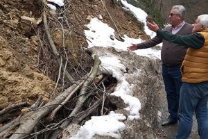 Ca la noi… adrese şi comitete pentru lemnele căzute într-un râu