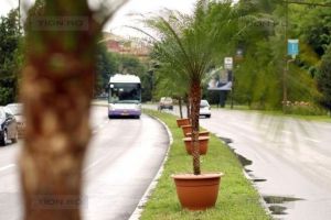 Centrul Timişoarei intră în şantier, pentru reparaţii capitale în Inelul I. Robu: Se va lucra jumătate de an