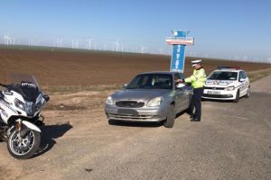 Zeci de soferi vitezomani sanctionati intr-o singura zi pe DN22 Constanta-Tulcea. 8 conducatori auto au ramas pietoni (galerie foto)