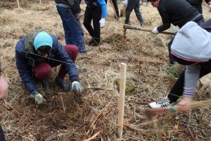 Elevii Seminarului Teologic au plantat puieţi pe aproape un hectar, pe terenurile Ocolului ...