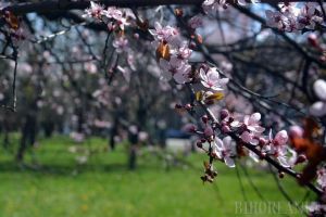 Echinocţiul de primăvară. Din 21 martie, ziua va fi tot mai lungă