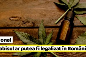 Naţional: Canabisul ar putea fi legalizat în România. Anunţul făcut de ministrul Finanţelor