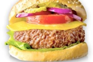 Carnea Ex Vivo! Frankenstein sau un nou salt al umanităţii?  De ce resping oamenii acest tip de carne