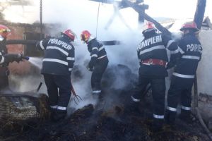 Locuinţă în flăcări la Bazna – Intervin pompierii