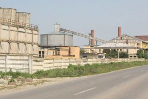 2019 la Antepriza de Zahăr Bod: 4.000 ha cultivate cu sfeclă, 25 de milioane kg zahăr producţie