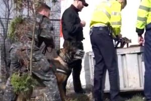 Întrecere între poliţişti