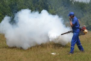 Operaţiunea „Căpuşa” închide Pădurea Gârboavele şi Balta Zătun