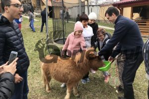 Hope, poneiul care îi face fericiţi pe tinerii cu dizabilităţi din Târgu-Jiu