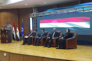 Egipt primeşte finanţare pentru conversiile pe gaz natural comprimat ( CNG)