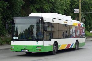 Municipalităţile bulgare lansează licitaţia pentru achiziţionarea a 8 autobuze pe CNG