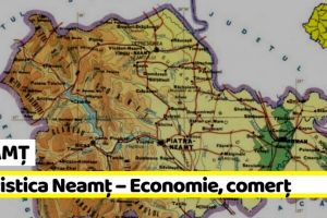 NEAMȚ: Statistica Neamţ – Economie, comerţ