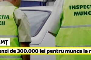 NEAMȚ: ITM: Amenzi de 300.000 lei pentru munca la negru