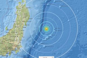 Cutremur de 6.1 grade pe coasta estica a Japoniei