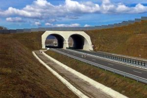 VIDEO Autostrada Sibiu – Piteşti va avea unele din primele ecoducte din România