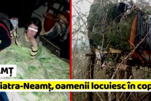 NEAMȚ: La Piatra-Neamţ, oamenii străzii locuiesc în copaci (FOTO)
