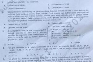 SIMULARE BACALAUREAT 2019. Ce subiecte au primit elevii la proba la alegere a profilului şi specializării