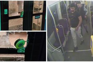 A fost prins individul care a lovit cu piciorul în uşa unui tramvai Armonia