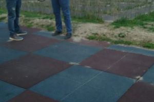 Zeci de amenzi aplicate de politistii locali din Constanta intr-o singura zi. Ce nereguli au fost sanctionate (galerie foto)