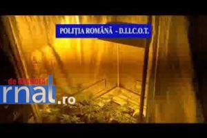 O nouă grupare de trafic de droguri, destructurată de DIICOT! Ce au găsit procurorii în timpul percheziţiilor