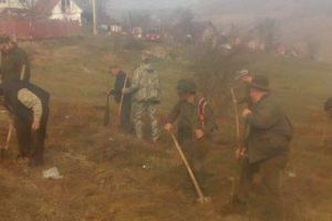 Pădurea din Beşa, îmbogăţită cu peste 500 de puieţi!