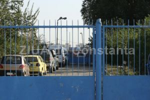 Cand isi reia activitatea adapostul pentru cainii fara stapan al Primariei Constanta