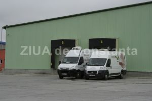 A fost revocat din functie directorul firmei Gepeto Impex 