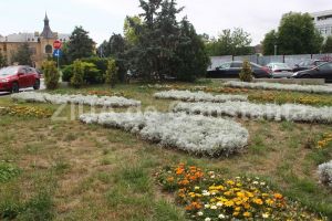 Presedinte USR Constanta, despre Registrul spatiilor verzi din Constanta