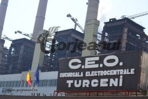 Fostul director al SE Turceni, sancţionat pentru comentarii anti-administraţie pe Facebook!