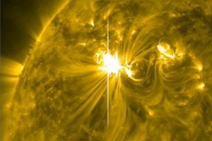 Explozie teribilă la o uzină chimică. Peste 44 de persoane au murit. Autorităţile au declanşat stare de alertă