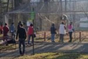 Peste 1.000 de vizitatori la zoo într-o singură zi! Aşteptări mari pentru weekendul ce urmează