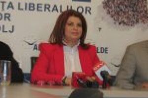 ALDE DOLJ: CEREM PNL SĂ APERE IMAGINEA ROMÂNIEI