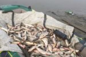 ABA Jiu: Caras mort pe Dunăre