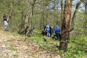 Acţiuni de igienizare şi plantări de puieţi în cadrul campaniei ”Luna Pădurii”