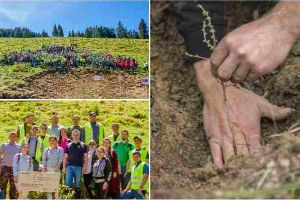 Proiectul Pădurea de Mâine plantează peste 200.000 de puieţi în primăvara anului 2019
