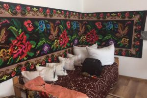 „Campioni în educaţie! EduCAM”, la Colegiul „Andronic Motrescu” Rădăuţi