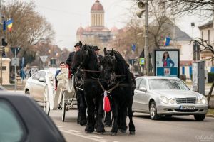 FOTO. Consilier PNL sancţionat de către un consilier ALDE. A încălcat legea!