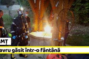 NEAMȚ: Intervenţie pentru scoaterea unui cadavru dintr-o fântână