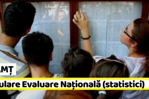 NEAMȚ: Rezultate simulare Evaluarea Naţională 2019 (statistici)