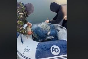 VIDEO Patru braconieri vâlceni, prinşi pe Olt, la Avrig – Pescarii au salvat 300 de kilograme de peşte