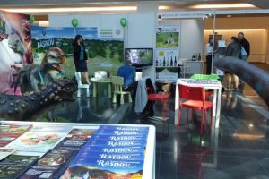 Oferte de vacanţă la preţuri promoţionale, numai în weekend, la Braşov